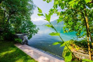 a view of a lake through the trees at Waterfront Apartments Zell am See - Steinbock Lodges in Zell am See