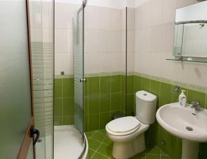 uma casa de banho verde e branca com um WC e um lavatório em Kukësi Resort Aldo em Lin