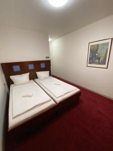 Postel nebo postele na pokoji v ubytování Hotel Houštka