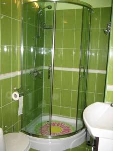 W wyłożonej zielonymi kafelkami łazience znajduje się prysznic i toaleta. w obiekcie Самостоятелни стаи в къща за гости Балкан w mieście Ribarica