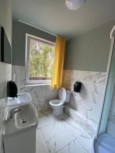 een badkamer met een toilet, een wastafel en een raam bij Hotel Houštka in Brandýs nad Labem-Stará Boleslav
