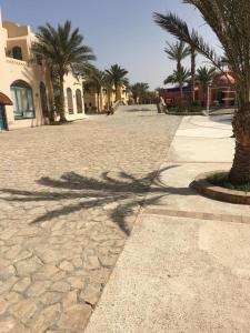 a shadow of a palm tree on a street at j16 in Hurghada