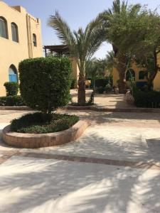 a courtyard with palm trees and a building at j16 in Hurghada