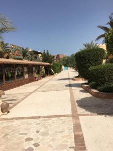 a walkway in a resort with bushes and trees at j16 in Hurghada