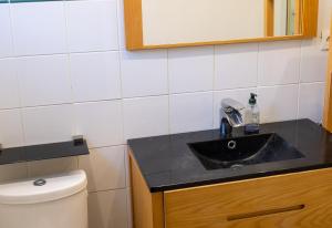 迪南的住宿－Appartement Saint-Sauveur，一间带水槽和卫生间的浴室