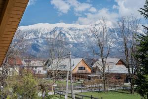 a view of a mountain with snow covered mountains at Apartma Lida 2 in Bled