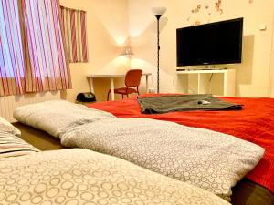 Dieses Zimmer verfügt über 2 Betten, einen TV und ein 6-dx-sidx-sidx-Bett. in der Unterkunft Jazzy Vibes Parliament Rooms and Ensuites in Budapest