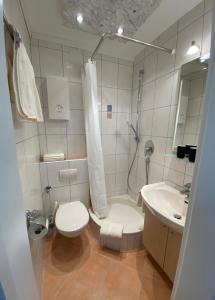 a bathroom with a toilet and a shower and a sink at Schöne Ferienwohnung ErlebeFrankende in Oberfellendorf
