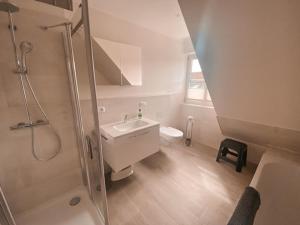 een badkamer met een douche, een wastafel en een toilet bij Inselperle Kämmererhof in Fehmarn