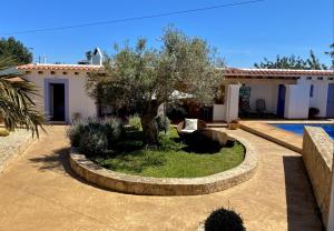 una casa con un albero e una piscina di Villa PALMERA a Sant Jordi
