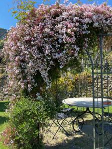A garden outside CASA VIRGINIA