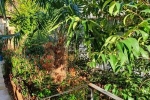 Ogród w obiekcie Apartment Relax for max 5 persons Funtana close to the beach