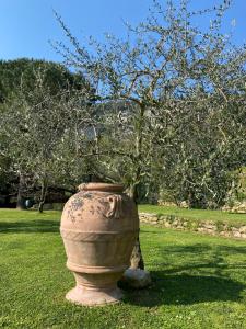 A garden outside CASA VIRGINIA