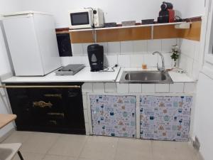 una pequeña cocina con fregadero y microondas en ALBERGUE LEMAVO, en Monforte de Lemos
