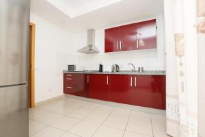 Kuchyňa alebo kuchynka v ubytovaní Masvacation HR, 4Room, Terrace, Parking