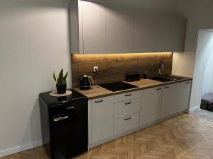 Kuchyňa alebo kuchynka v ubytovaní Apartamenty Rynek 5