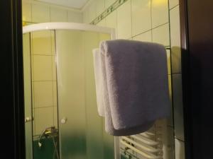 Koupelna v ubytování Argo Premium
