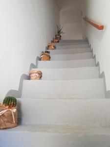 Fotografia z galérie ubytovania Loft 36 v destinácii Carovigno
