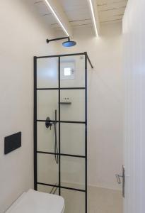 a glass shower door in a bathroom with a toilet at Karai, The House Project in Astypalaia Town