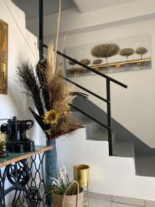 Fotografie z fotogalerie ubytování Apartments Duje v Novalji