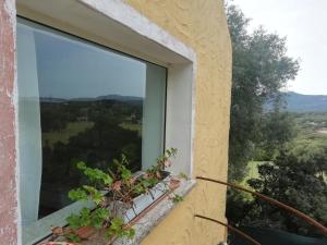 Fotografie z fotogalerie ubytování Residenza Multa Sabida v destinaci Porto Rotondo + 3 fotografie