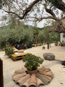 a garden with a bunch of potted plants and trees at Casa Vacanze Magistro in Patti