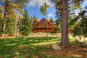 a log cabin in the woods with a tree at Black Diamond Lodge in Lead