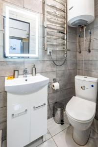 La salle de bains est pourvue de toilettes, d'un lavabo et d'un miroir. dans l'établissement Apartments Galitskaya street, à Lviv