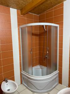 a shower stall in a bathroom with a sink at Apartments Anđela in Žabljak