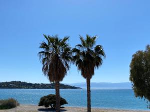 two palm trees on a beach near the water at Palm Suite Green in Porto Heli