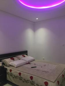 een slaapkamer met een bed met een paars licht op het plafond bij Enjoy the silence and view in Athene