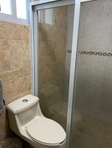a bathroom with a toilet and a glass shower at Depa Frente al aeropuerto 8huespedes 103 in Mexico City