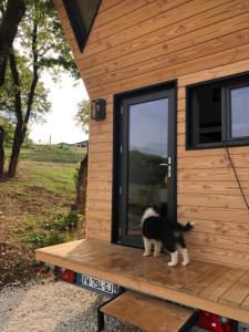 Tiny House et bain nordique à la ferme في Cuzance: قطة تقف على شرفة منزل صغير