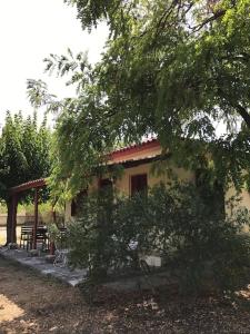 un edificio con un árbol delante de él en Authentic Country House in Zakynthos, en Ambelókipoi