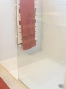 una puerta de ducha de cristal con una toalla roja en Villa entre Nîmes et le Pont du Gard, en Bezouce