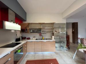 Kuchyňa alebo kuchynka v ubytovaní Electra Garden House