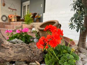 Vonkajšia záhrada v ubytovaní Electra Garden House + 37 fotografií