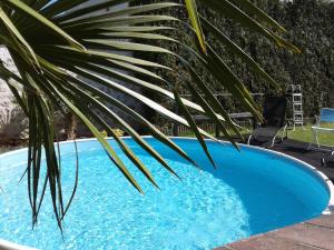 a blue swimming pool with a palm tree next to it at La Longère Chanoir in Prénouvellon