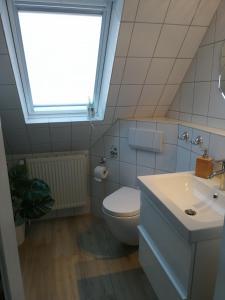 a bathroom with a toilet and a sink and a window at Ostsee-Auszeit in Stakendorf