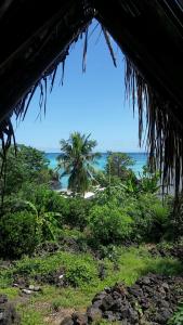 Blick auf einen Strand mit einer Palme und das Meer in der Unterkunft Le A, Trou du Prophète in Mitsamiouli