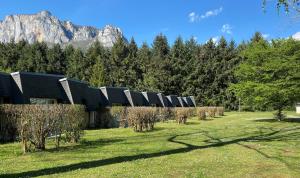 eine Reihe von Häusern mit einem Berg im Hintergrund in der Unterkunft Les gîtes de Beille in Les Cabannes