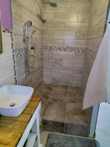 a bathroom with a sink and a shower at Penelope Selfcatering Apartment in Wilderness