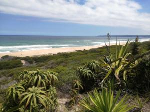 a beach with a view of the ocean at Penelope Selfcatering Apartment in Wilderness +5 photos