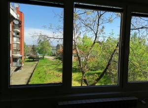 Zahrada ubytování Apartman Radulović