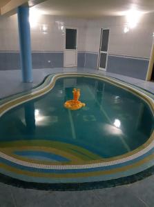 a swimming pool with a yellow object in a building at Casa Albastra in Drumu Carului