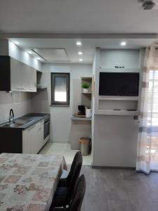 Kuchyň nebo kuchyňský kout v ubytování Apartman Eden
