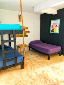 Cette chambre dispose de lits superposés et d'une échelle. dans l'établissement Mi Refugio Dive House, à Cozumel