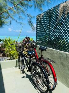 Photo de la galerie de l'établissement Matira Beach Bungalow Waterfront, à Bora Bora