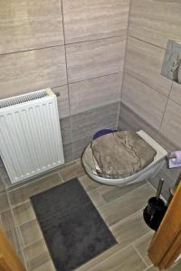 a bathroom with a toilet and a floor at Szentmárton Vendégház in Tótszentmárton