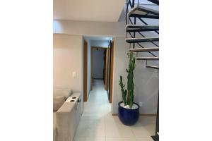 Habitación con escalera y maceta. en cobertura encantadora com jacuzzi, en Vila Velha